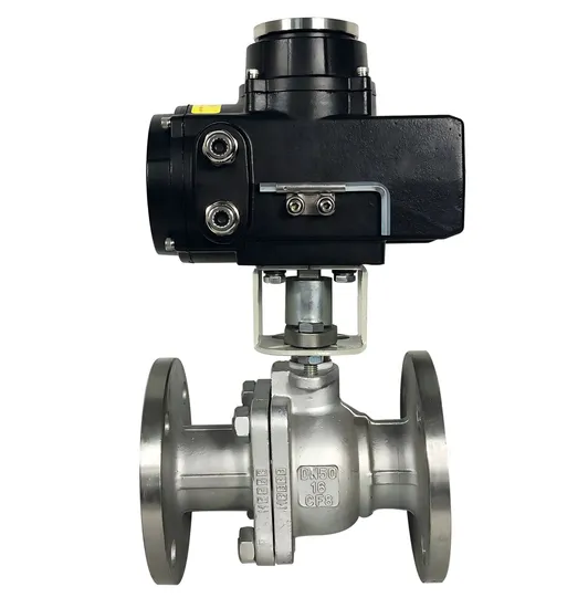 Bruker Wcb AC220/DC380 Flang Stainless Steel Ball Valve with Electric Actuator